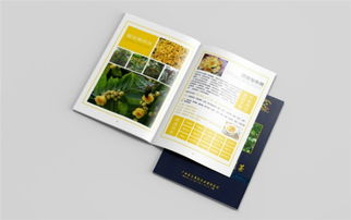 賀州產(chǎn)品盒制作 致青春廣告策劃 創(chuàng)意產(chǎn)品盒制作